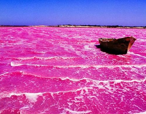 Pink Lake: Pink Water Of Lake Hillier