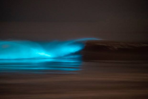 Neon bioluminescent waves have been catching people's eye.