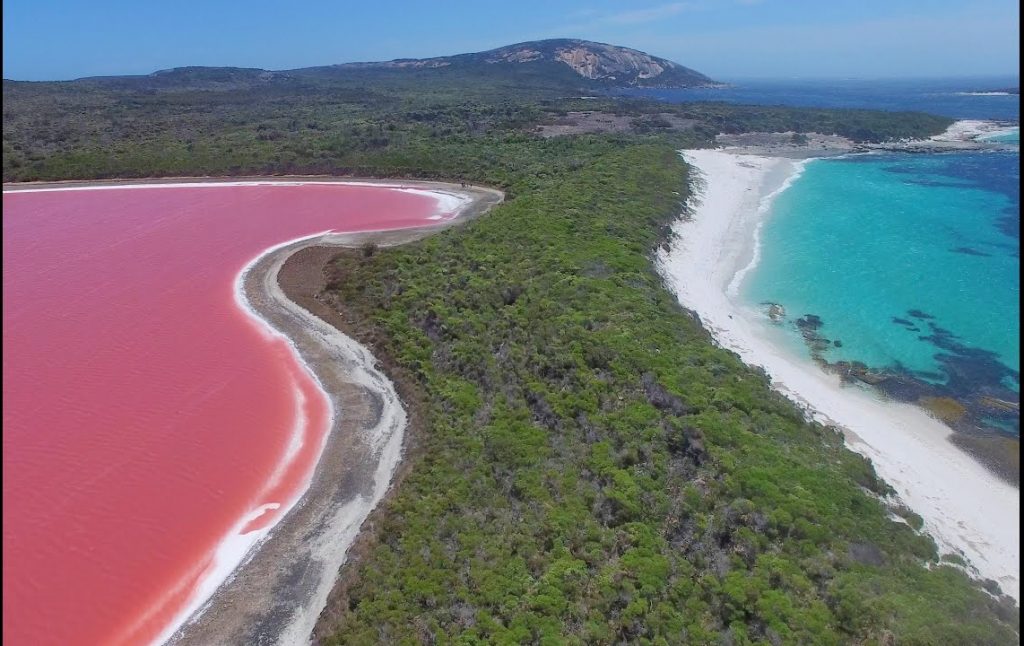 Pink Lake: Pink Water Of Lake Hillier