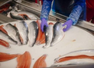 COVID-19: Salmon Panic Created Fear in Beijing