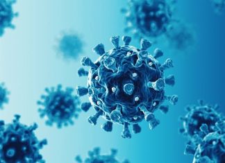 The World’s New Strategy To Contain Coronavirus The World's New Strategy To Contain Coronavirus: 'Whack-A-Mole'