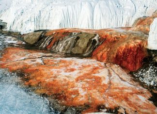Mysterious Blood Falls In Antarctica, Is It True?