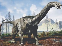 Researchers Grouped The Biggest Species of Dinosaur