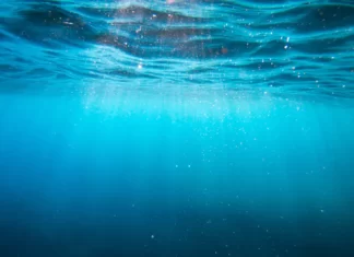 Electrolysis of seawater to make hydrogen