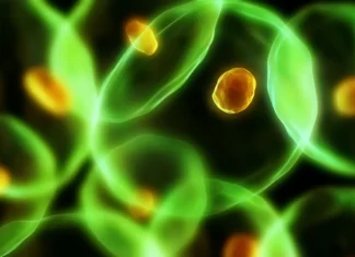 New Device Refines Scientists’ Ability To Sort And Process Human Cells