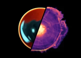 Synchronized movement in living systems