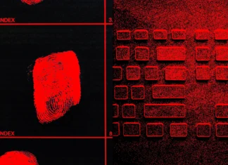 The World’s real Cybercrime Problem